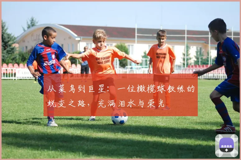 从菜鸟到巨星：一位橄榄球教练的蜕变之路，充满泪水与荣光