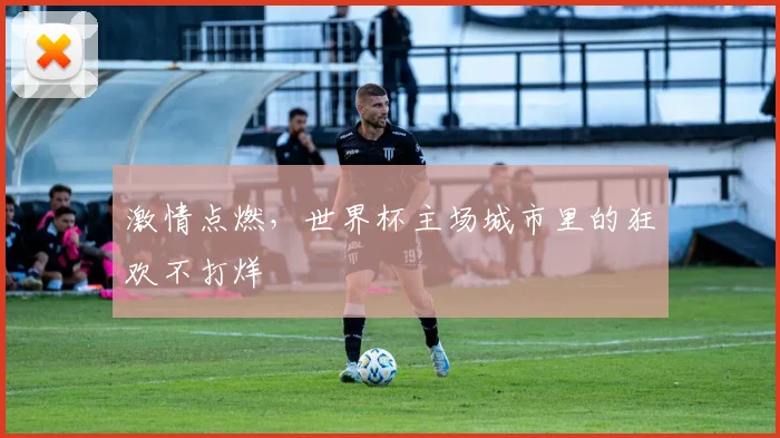 激情点燃，世界杯主场城市里的狂欢不打烊