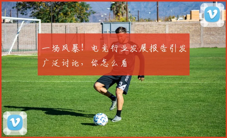一场风暴！电竞行业发展报告引发广泛讨论，你怎么看
