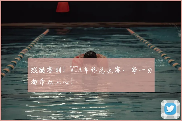 残酷赛制!WTA年终总决赛,每一分都牵动人心!